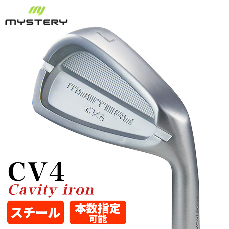 Titleist（タイトリスト） T100アイアン N.S.PRO モーダス3 Tour115