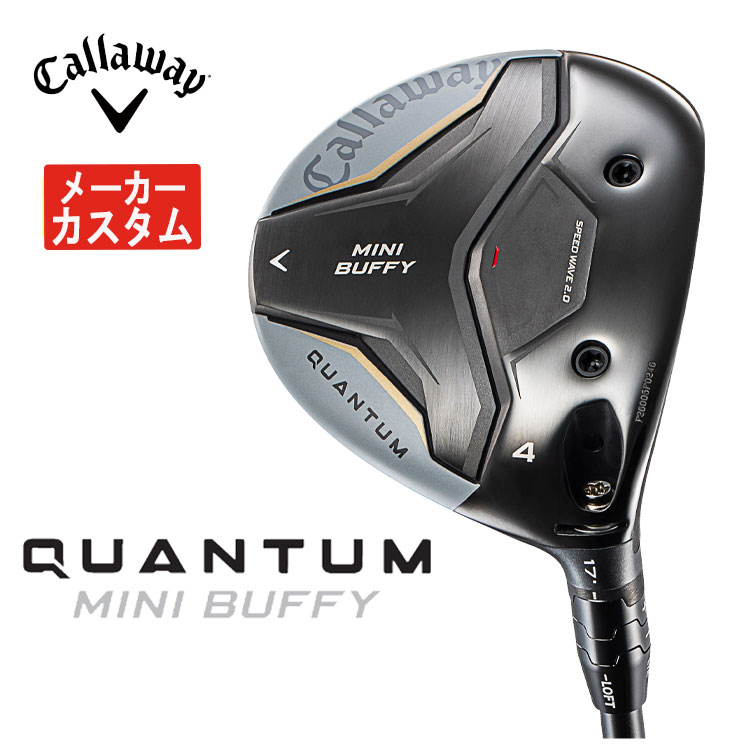 qtmminifw-cus1.jpg