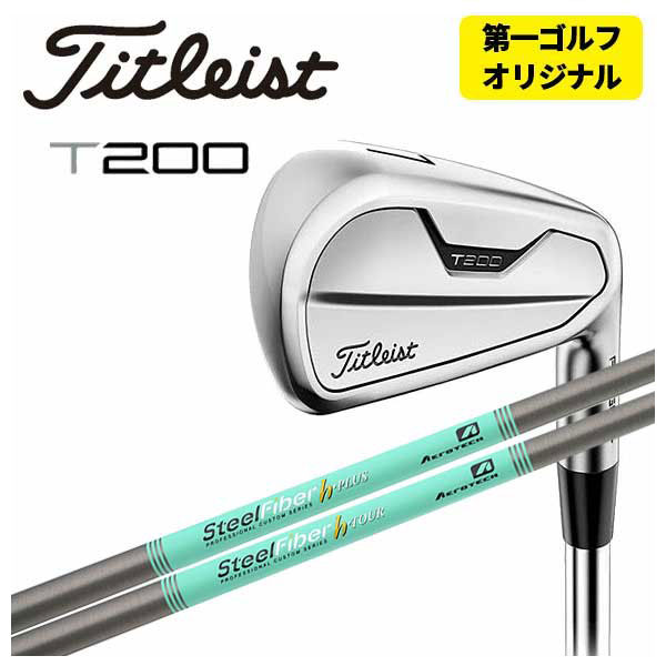 特注カスタムクラブ) タイトリスト T200 アイアン トゥルーテンパー