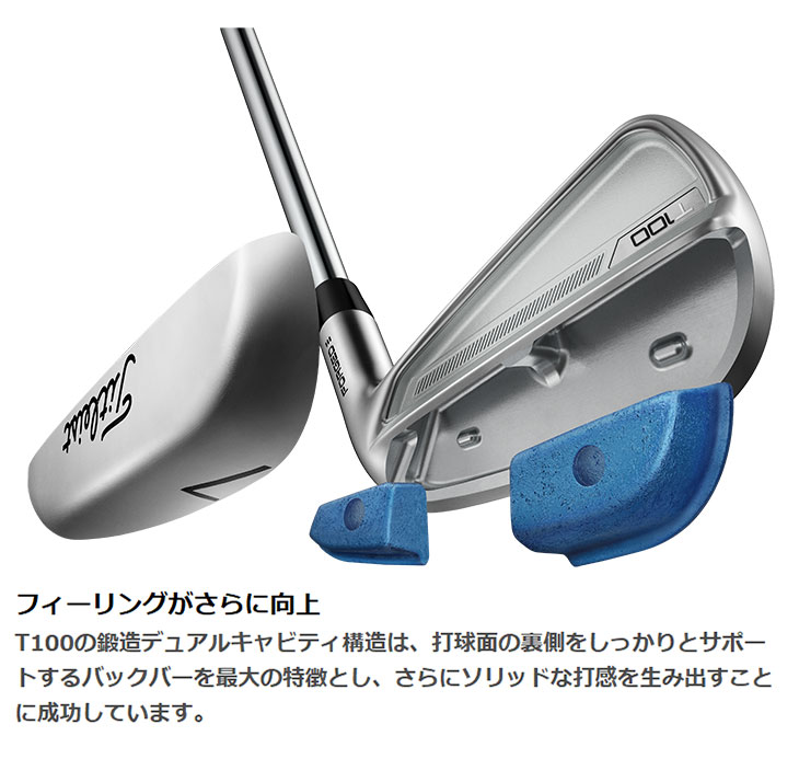 タイトリスト T100アイアン ダイナミックゴールド シャフト #5-Pw 6本