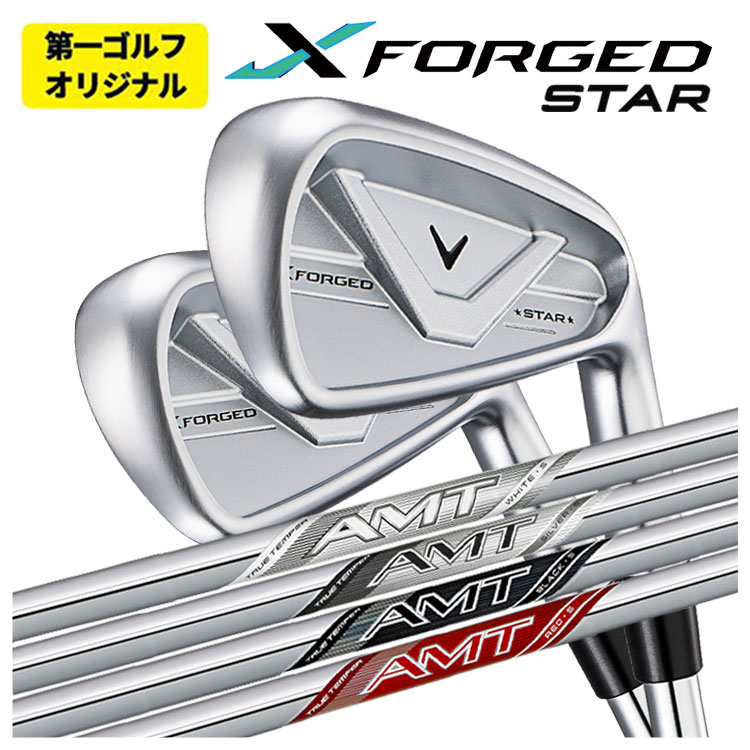 PXG 【特注】PXG GEN8 ドライビングアイアン 0311X Driving iron