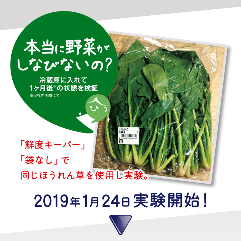 ママラクリーン 鮮度キーパー２個セット （M10枚入り×２個/Lサイズ ８枚入り×２個どちらか選択）、新鮮袋 野菜保存袋 フリーザーバッグ｜daikanyama-st｜09