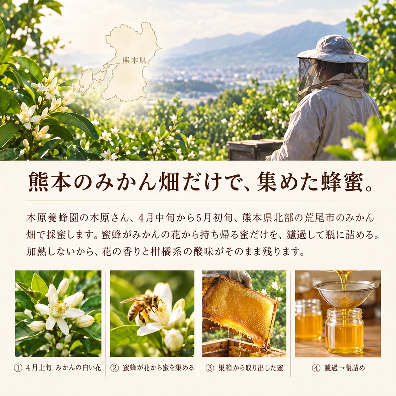国産 熊本県産 みかんはちみつ 400g 非加熱 純粋はちみつ 送料無料