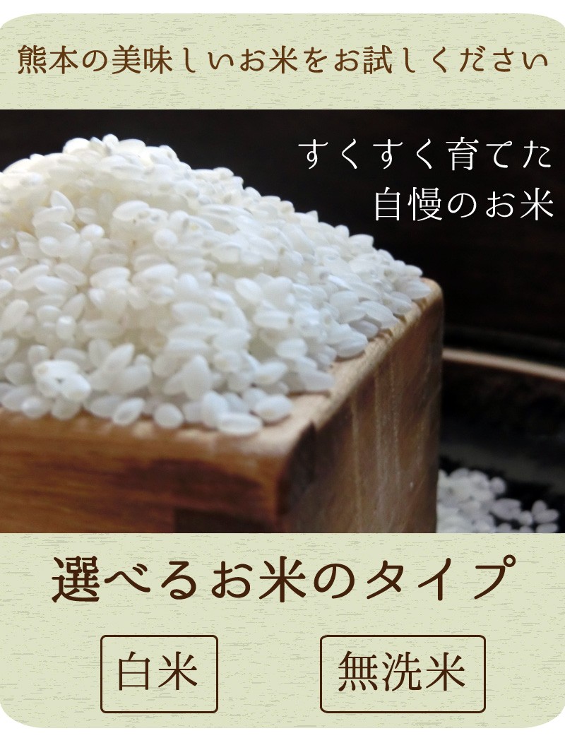 森のくまさん 無洗米 2kg 熊本県産 令和7年産 くまモン米 ギフトとして