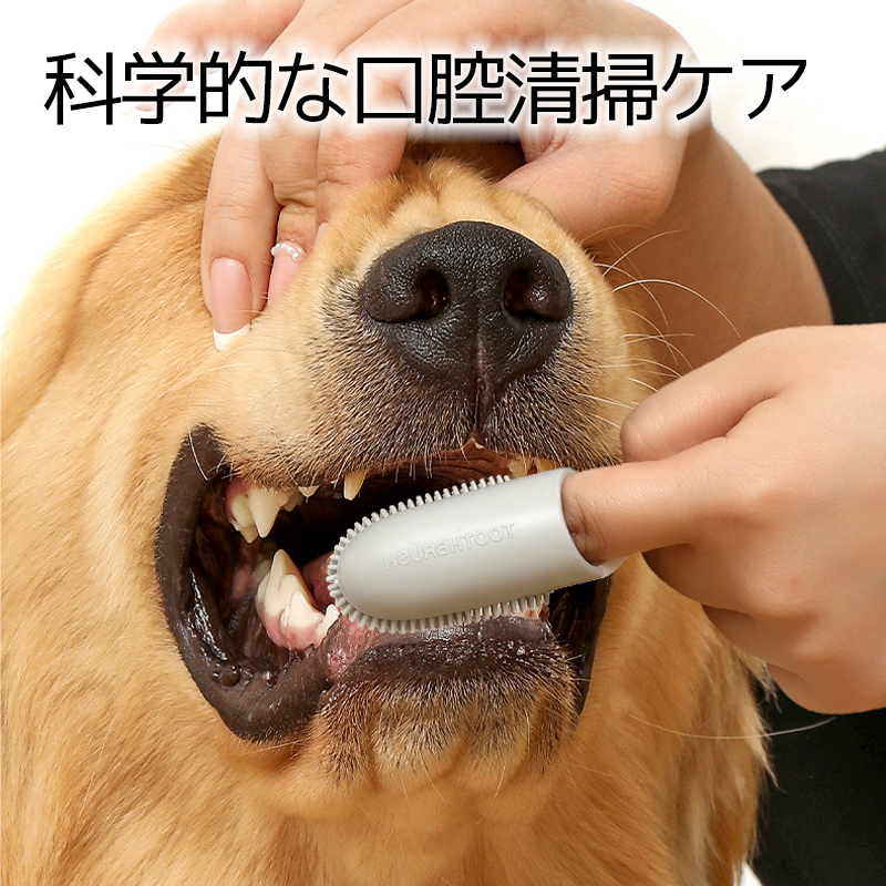 犬用歯ブラシ