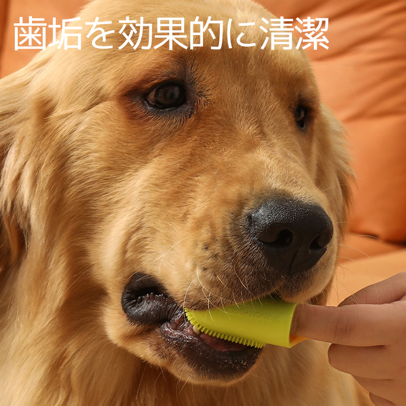 犬用歯ブラシ