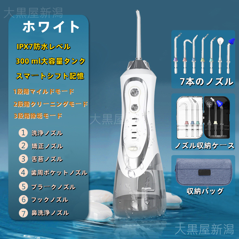 口腔洗浄器 口腔ケア 鼻洗浄器 ジェットウォッシャー 歯ブラシ Ipx7防水 水流洗浄 強弱切り替え 舌磨き USB充電式 歯垢洗浄 父の日  プレゼント おすすめ