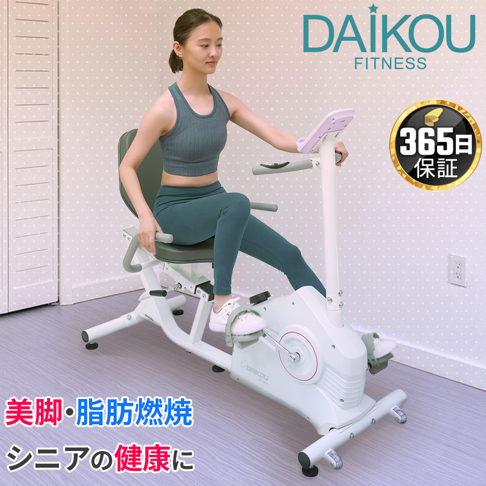 シートバイク DK-6010