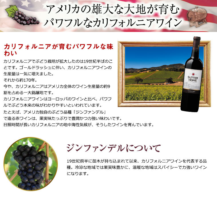 開店祝い 銘醸地ナパ ヴァレー入り カリフォルニア赤ワイン８本セット 赤ワインセット 希少 Www Technet 21 Org