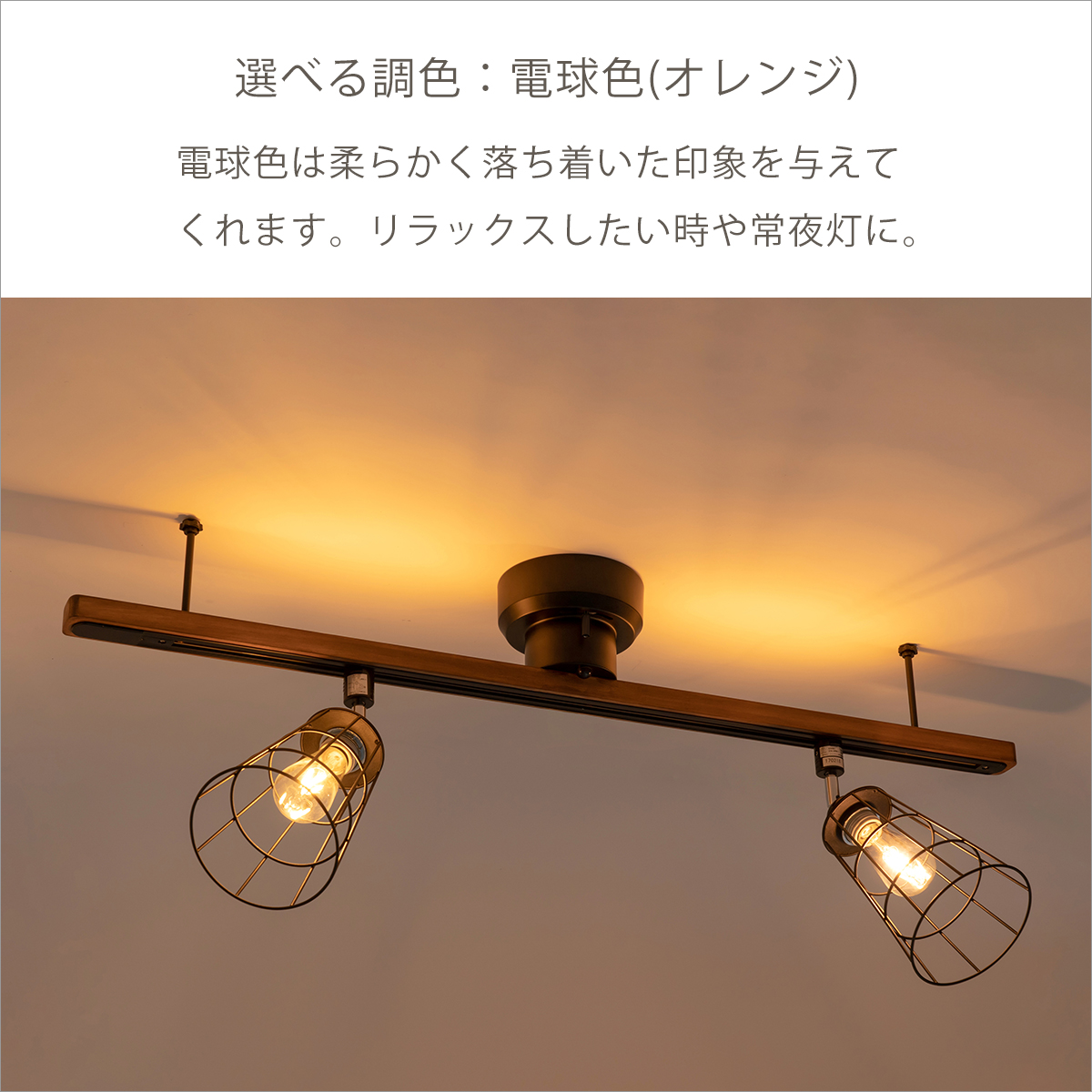 ブリッド BRID 簡易取り付け照明用ダクトレール LEDライト付き LIGHTING DUCT RAIL with LED 3363 GENERAL  ダクトレール 照明