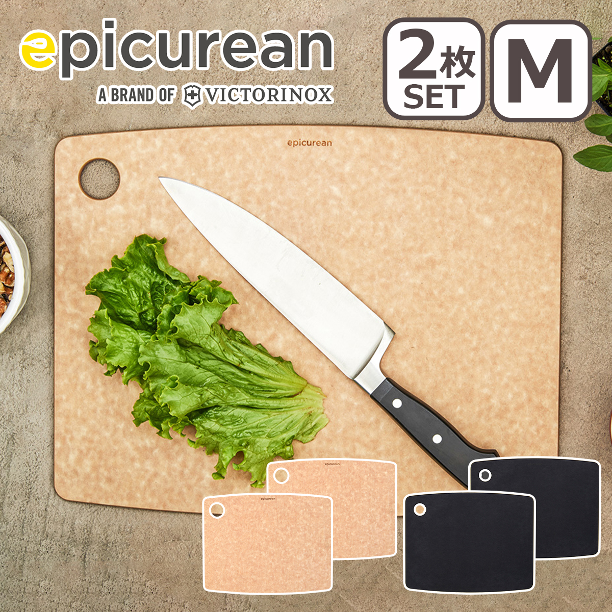 �G�s�L�����A�� �J�b�e�B���O�{�[�hM 2�� epicurean