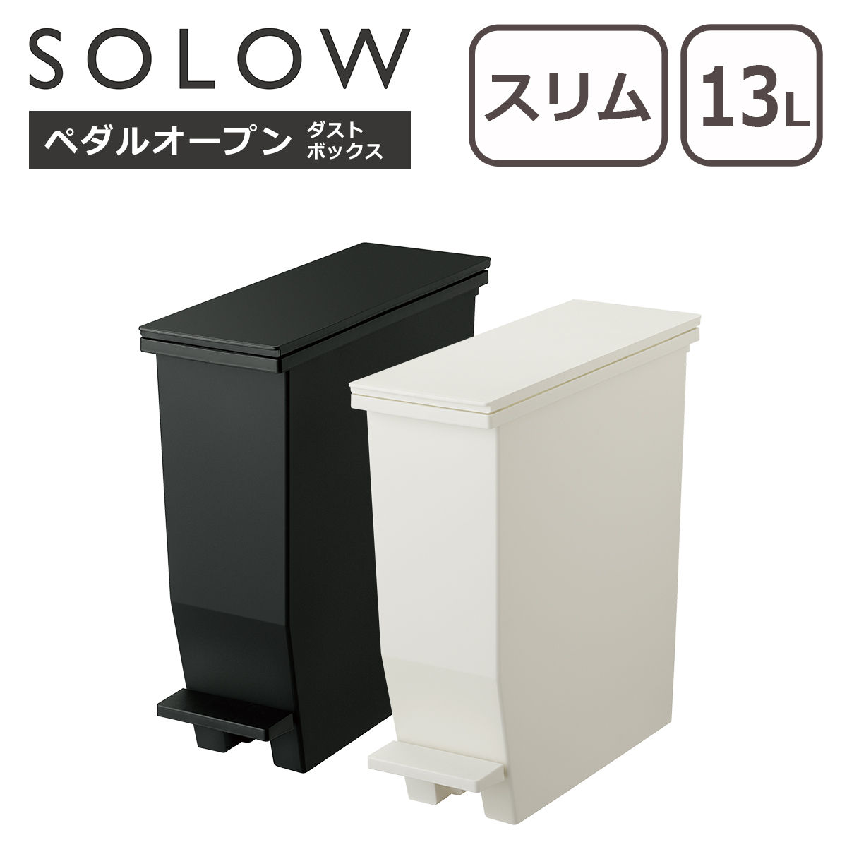 \E SOLOW S~ y_I[v X 13L Pi ӂt y_ J J