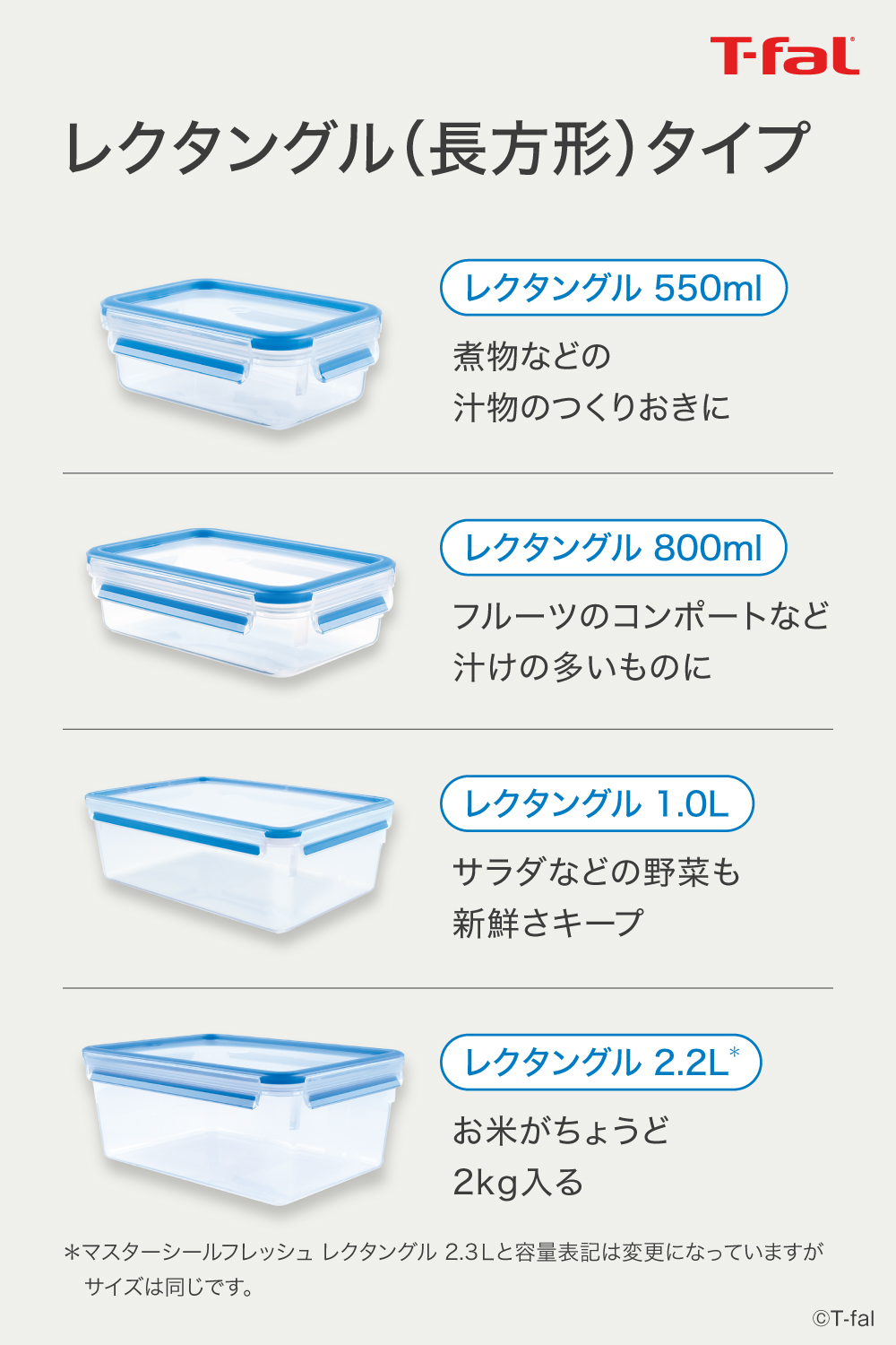 ティファール マスターシール フレッシュ MW スクエア 200ml（0.2L）N10146 保存容器 T-fal | マスターシール フレッシュ | 04