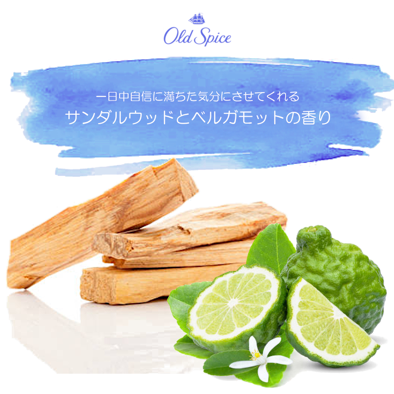 Old Spice（オールドスパイス） スティック キャプテン 3oz 85g