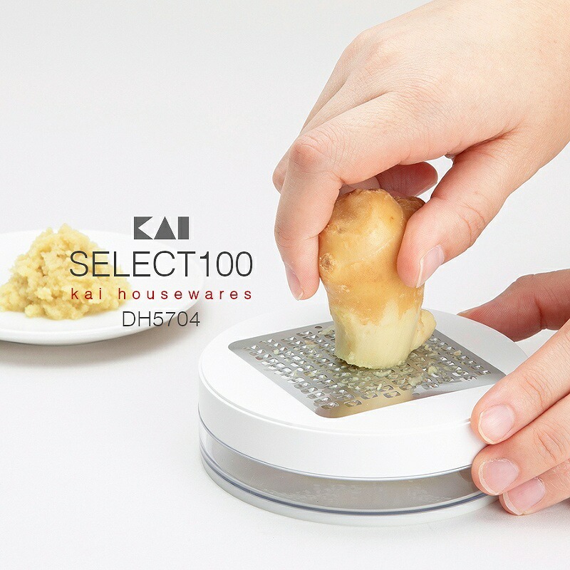 SELECT100 薬味おろし おろし器 DH5704 セレクト100 ステンレス