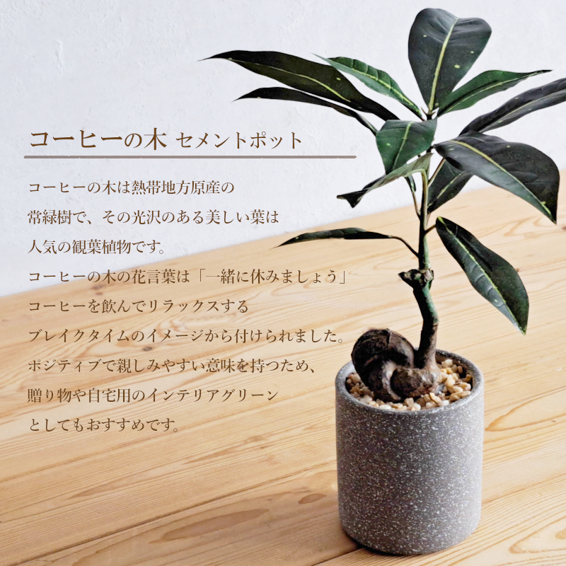 YDM 造花 コーヒーの木 セメントポット G...の詳細画像5
