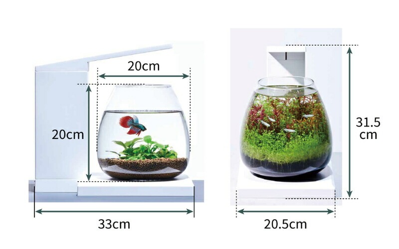 観賞魚飼育セット 水槽セット グラスアクア PERCO T-WH 約6L オールインワン水槽 ペルコ 金魚 熱帯魚 海水魚 メダカ 観葉植物 おしゃれ ガラス ライト付き GEX｜daily-shop｜04