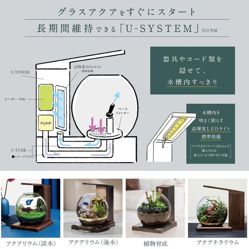 ベタ 水槽 セット 底面ろ過