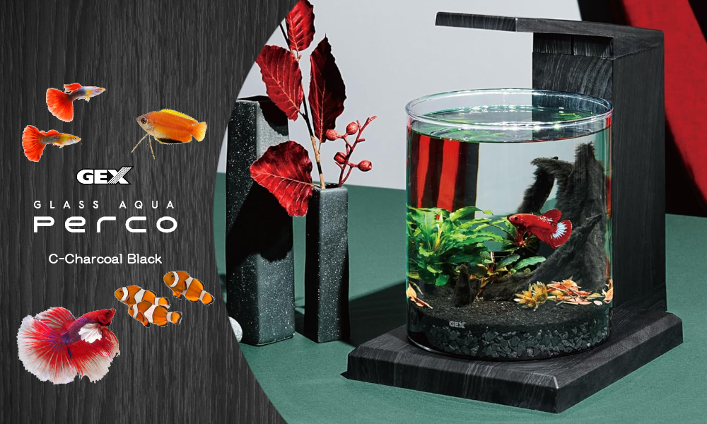 ベタ飼育セットのおすすめ人気商品一覧 通販 - Yahoo!ショッピング