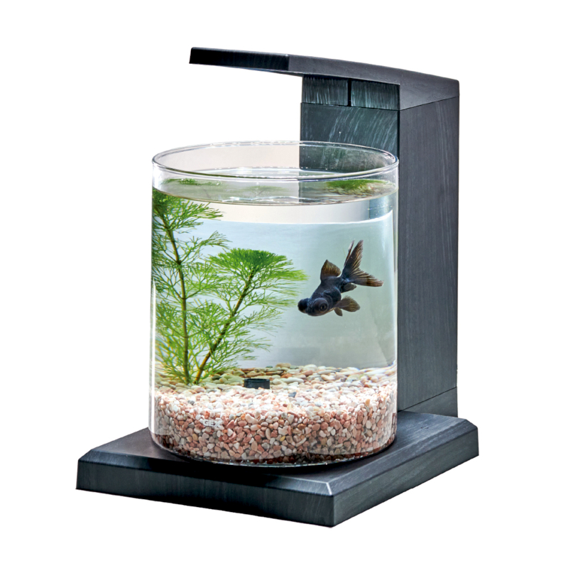 アクアテラリウムセットのおすすめ人気商品一覧 通販 - Yahoo!ショッピング