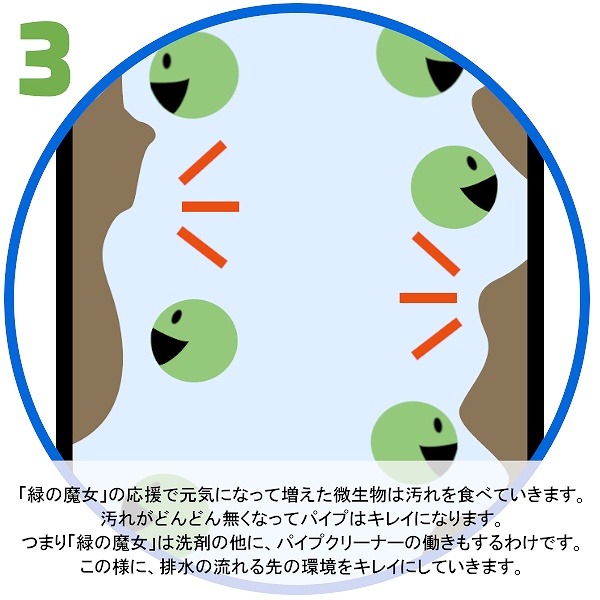 柔軟剤入り 洗濯洗剤 緑の魔女 ランドリー 5...の詳細画像4