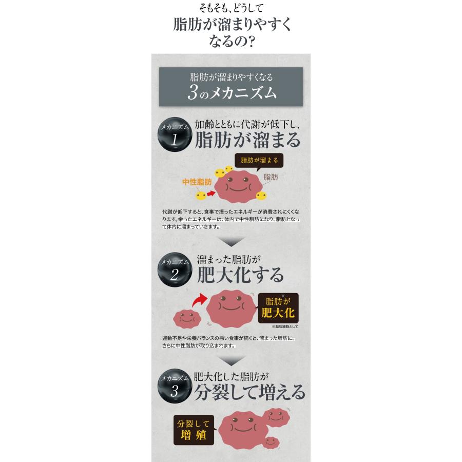 シボラナイト2 150粒 30日分 明治薬品 機能性表示食品 サプリメント : 00002 : 笑顔の生活アイテム館 - 通販 -  Yahoo!ショッピング