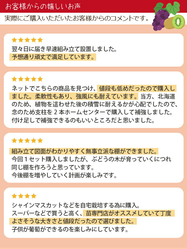 daim ガーデンアグリパイプ 果樹棚 セット 2ｍ 2ｍ パーゴラ ガーデンアーチ 藤棚 ふじ棚 果樹棚 果物棚 ぶどう棚 ブドウ棚 葡萄棚 ぶどう  葡萄 : 40631 : ダイムファクトリー Yahoo!店 - 通販 - Yahoo!ショッピング