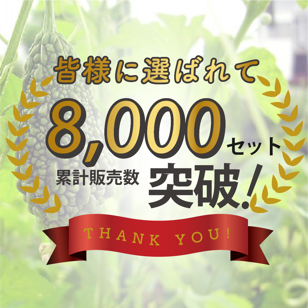 空中栽培つる棚セット DAIM daim 空中栽培 つる棚セット 4セット入 つる野菜 家庭菜園
