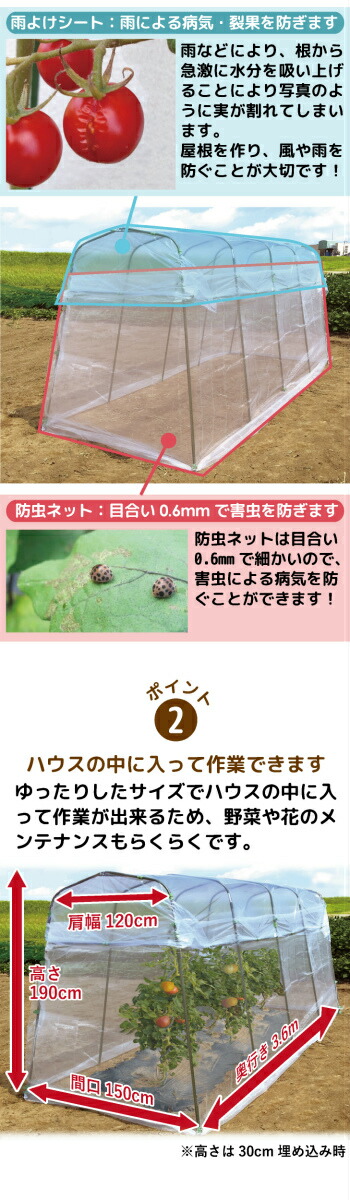 daim 雨よけ虫よけミニ菜園ハウス ビニールハウス 小型 家庭菜園 トマト 雨よけ 雨除け 園芸 霜よけ 防虫 防鳥 組み立て式 畑  ガーデニングハウス 送料無料 :41830:メーカー直販 DAIM Yahoo!店 - 通販 - Yahoo!ショッピング