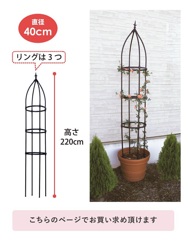 daim 組立かんたんローズオベリスク 直径40cm 高さ220cm バラ用 バラ オベリスク ラティス ガーデニング フラワーアレンジ 工具不要  組立 簡単 送料無料 :41995:メーカー直販 DAIM Yahoo!店 - 通販 - Yahoo!ショッピング