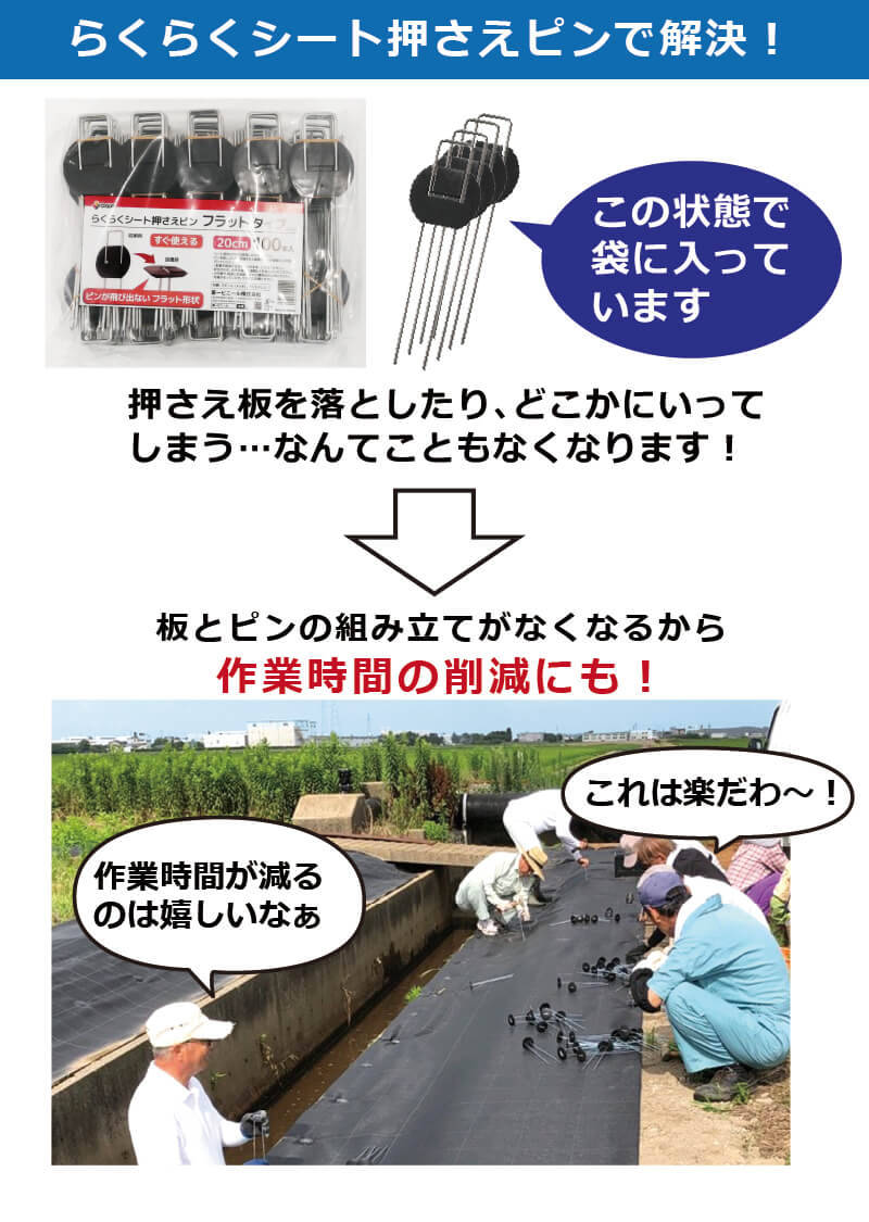 DAIM らくらくシート押さえピン フラットタイプ 長さ20cm 100本入 防草