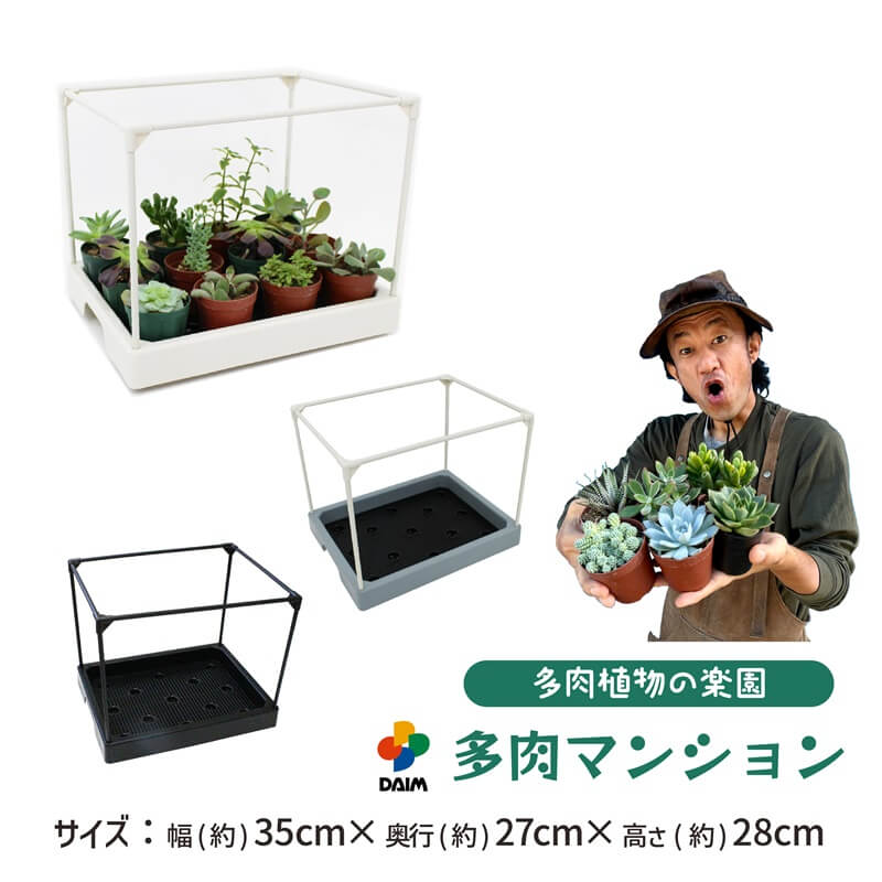 daim 多肉マンション 幅35cm×奥行き27cm×高さ28cm 全3色 オフホワイト アイスグレー ブラック 多肉植物 寄せ植え 棚 苗  簡易 温室 第一ビニール | DAIM | 01
