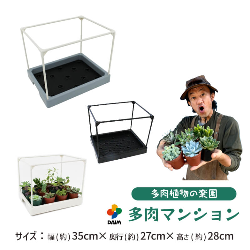 daim 多肉マンション 幅35cm×奥行き27cm×高さ28cm 全3色 オフホワイト アイスグレー ブラック 多肉植物 寄せ植え 棚 苗  簡易 温室 第一ビニール | DAIM | 02