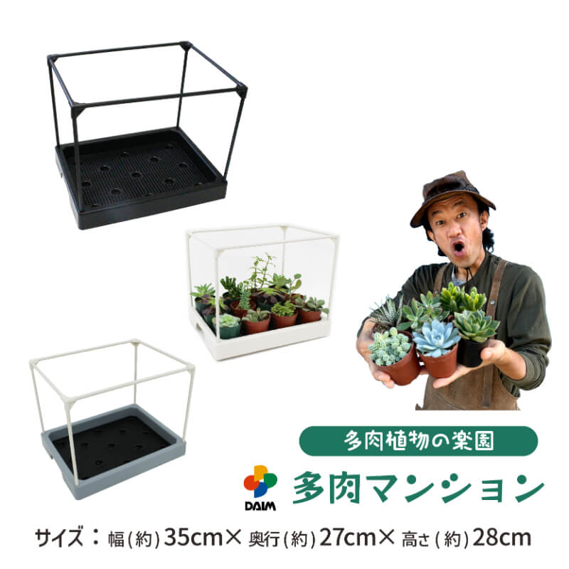 daim 多肉マンション 幅35cm×奥行き27cm×高さ28cm 全3色 オフホワイト アイスグレー ブラック 多肉植物 寄せ植え 棚 苗  簡易 温室 第一ビニール | DAIM | 03