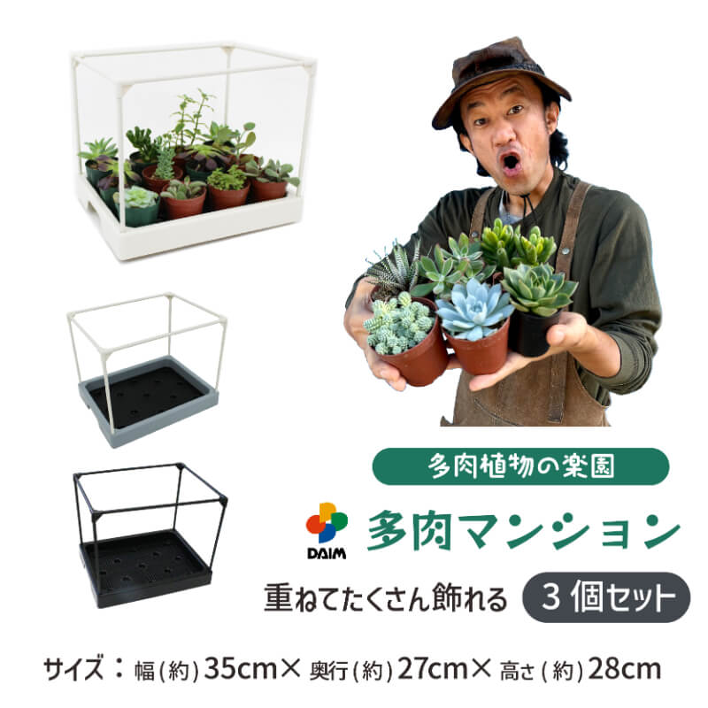 多肉植物をハウスにて販売しています。 多肉植物 #多肉植物販売