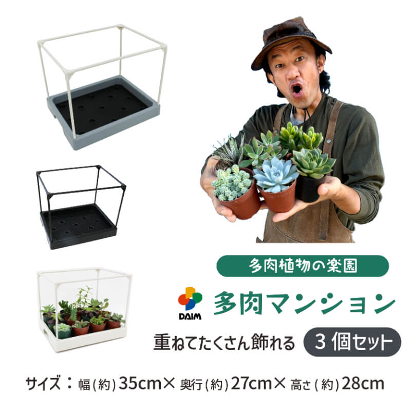 daim 多肉マンション 幅35cm×奥行き27cm×高さ28cm 3セット入り 園芸 カーメン君 多肉植物 観葉植物 冬越し 寄せ植え 棚 苗 室内 温室ハウス 第一ビニール | DAIM | 02