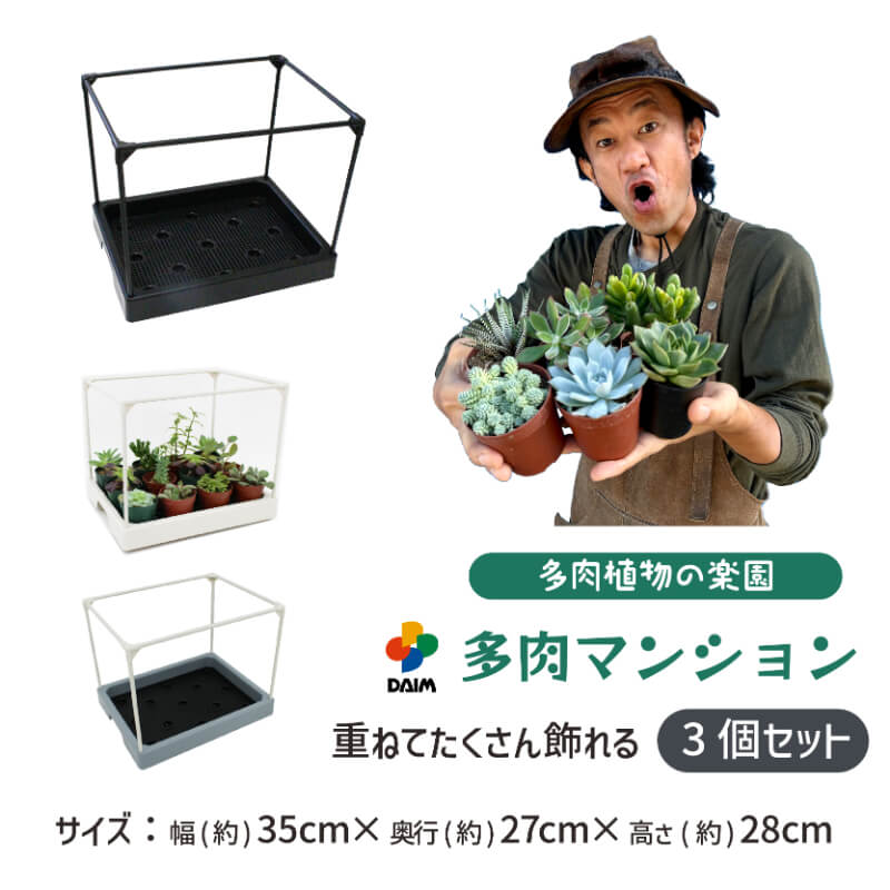 〆追加あり 多肉小屋さん専用 DAIM 多肉マンション 幅35cm×奥行き27cm×高さ28cm 3セット入り 園芸