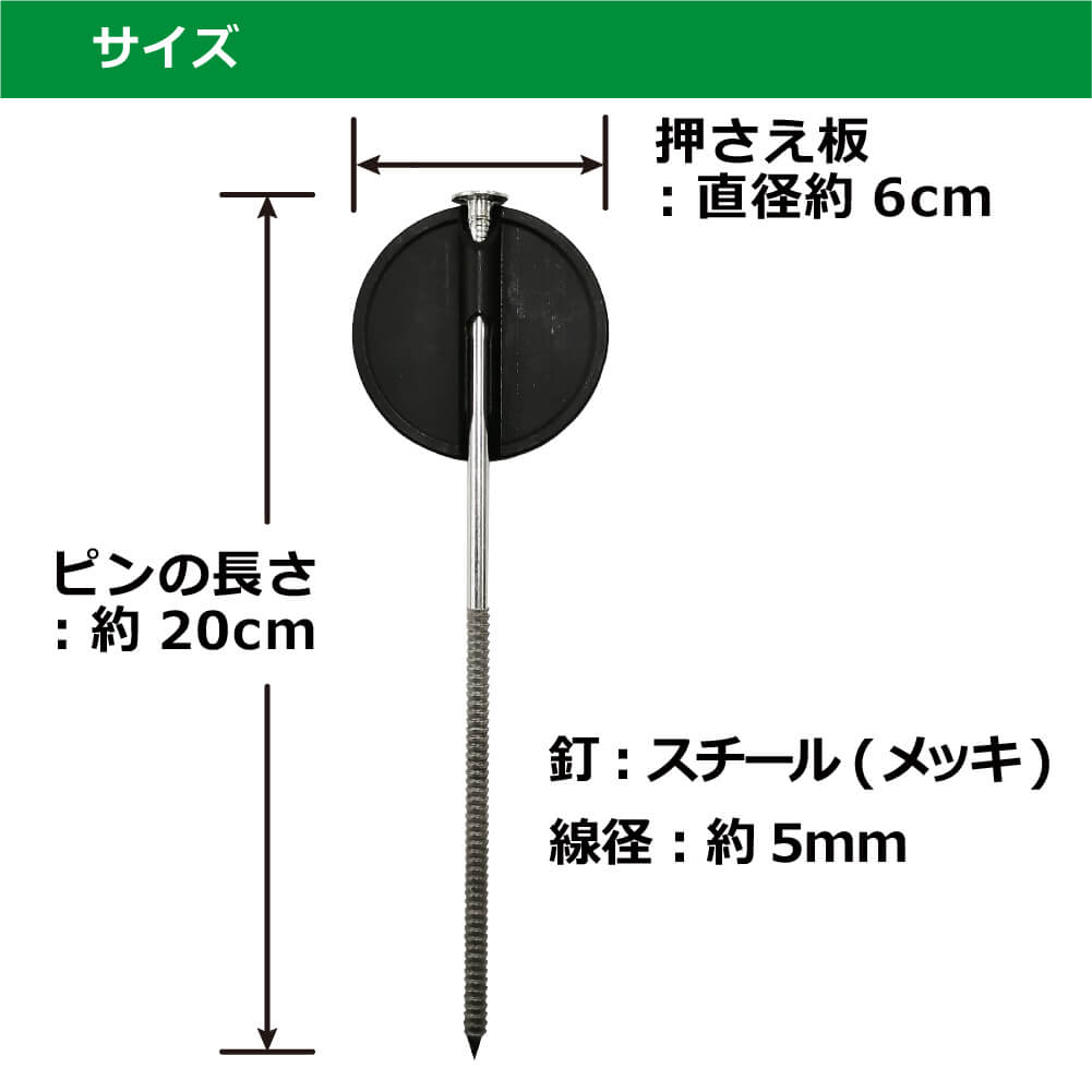 えいたん出品 kanda-109059.jpg