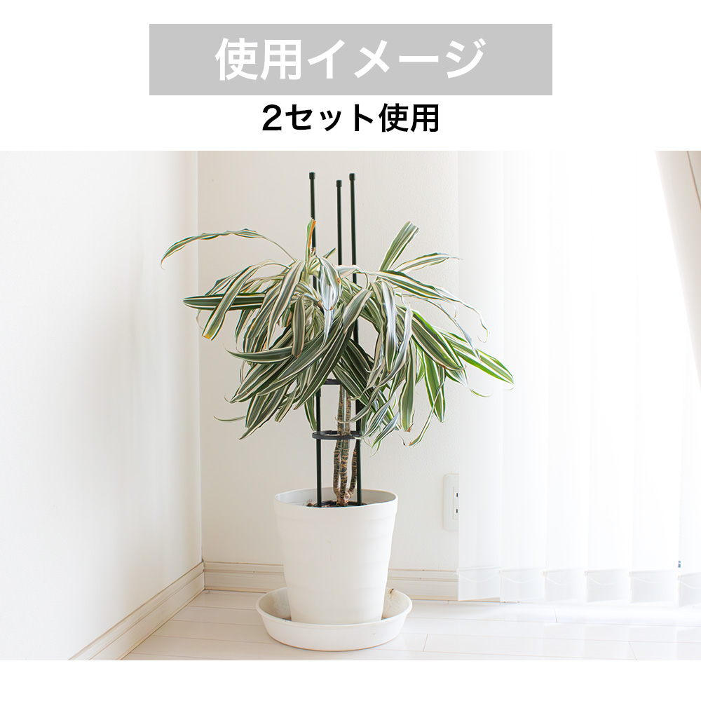 DAIM Re.Bloom リングサポート 全2規格 観葉植物 おしゃれ 葉ダレ 防止