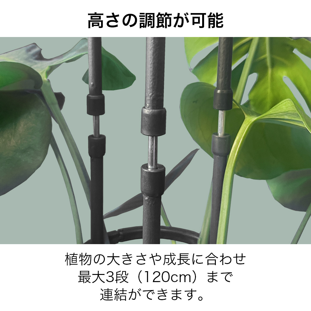 DAIM Re.Bloom リングサポート 全2規格 観葉植物 おしゃれ 葉ダレ 防止