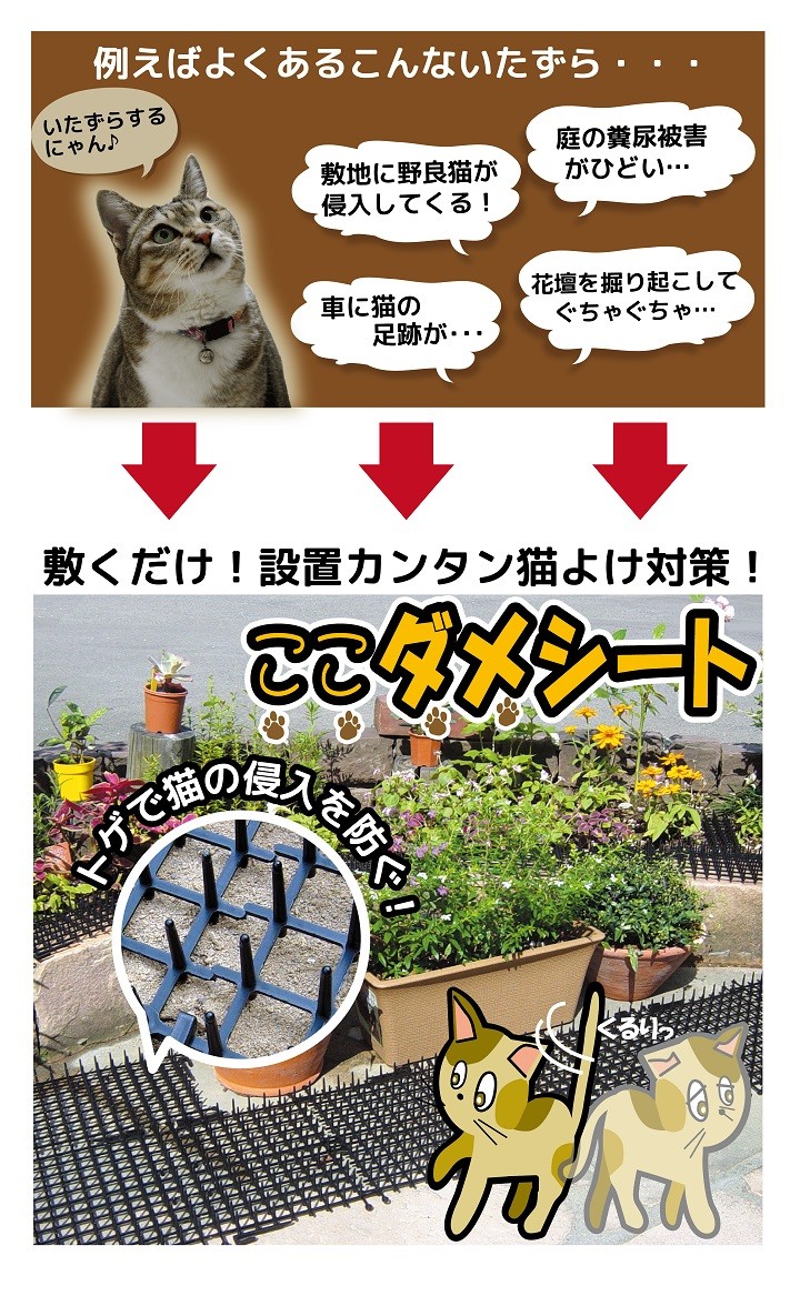 幅50cm 猫よけ 猫よけ daim 幅広タイプ 20m巻 店 幅50cm 動物避け用品