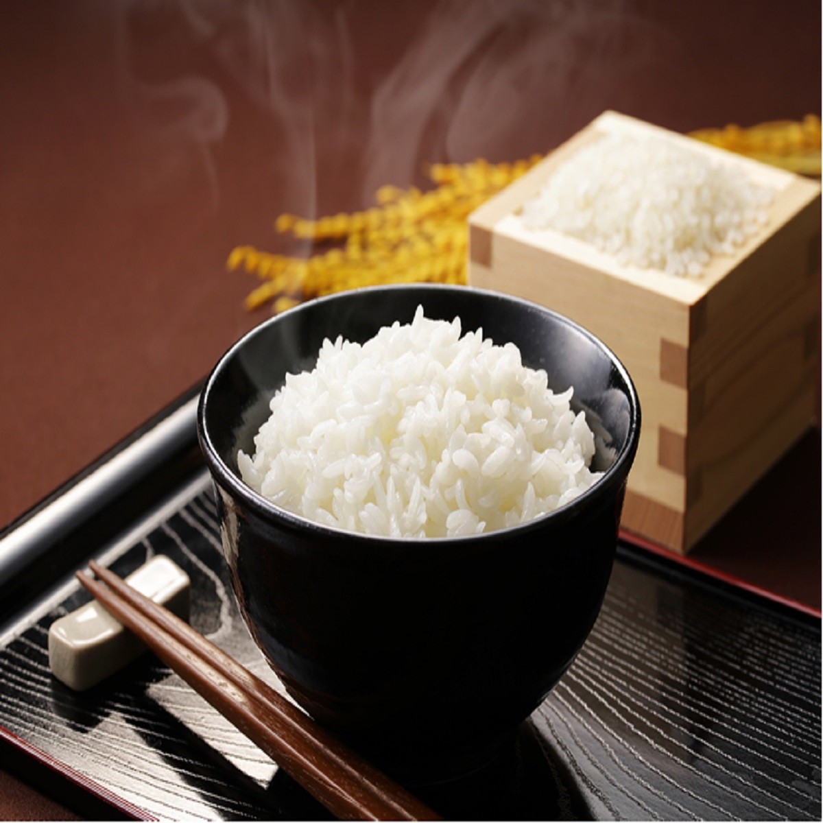 2025年産 栃木県産コシヒカリ 3kg 9月収穫 産地直送 特A評 農家直送 お 