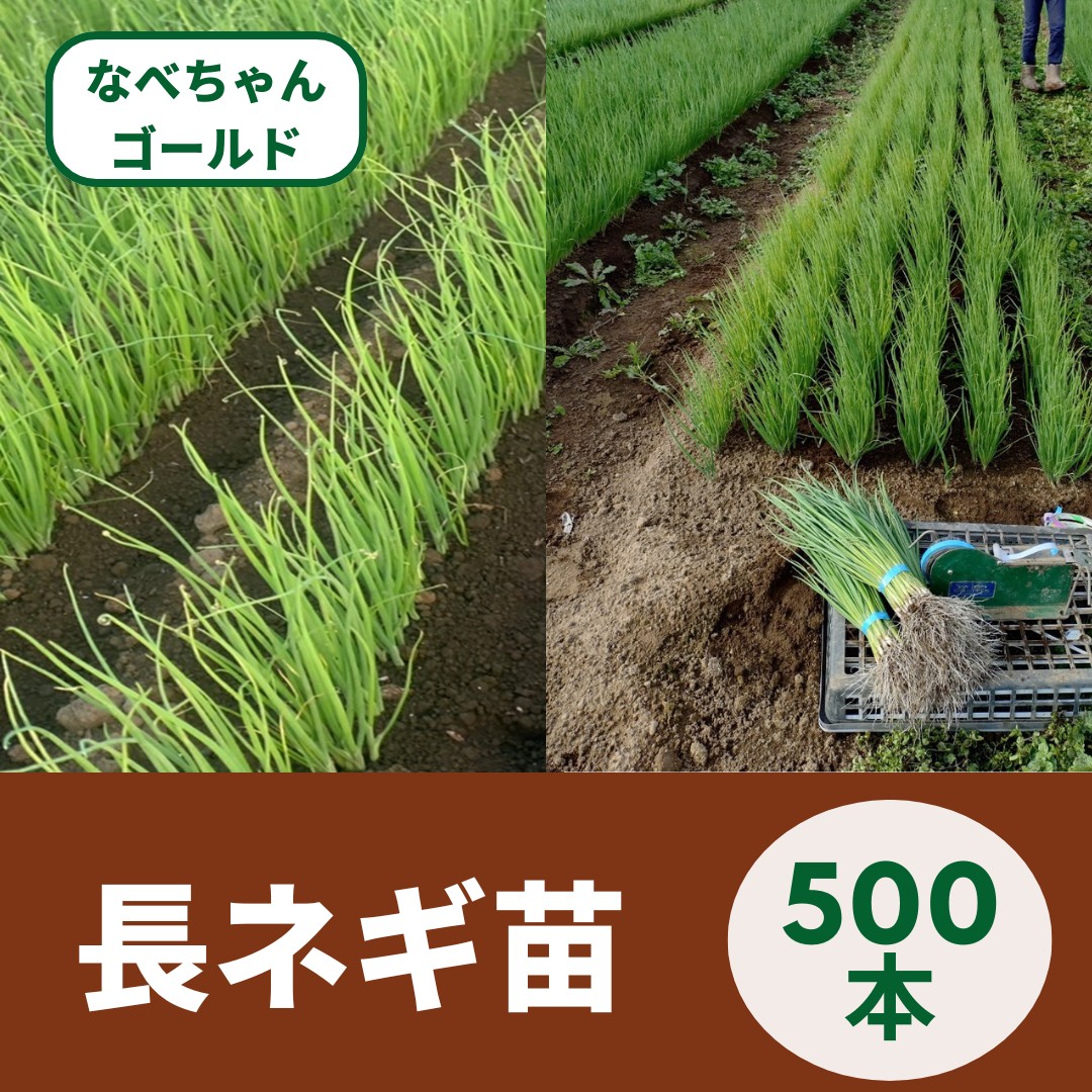 インポート・海外人気ブランド magnet_173890610100.png 香味・薬味野菜