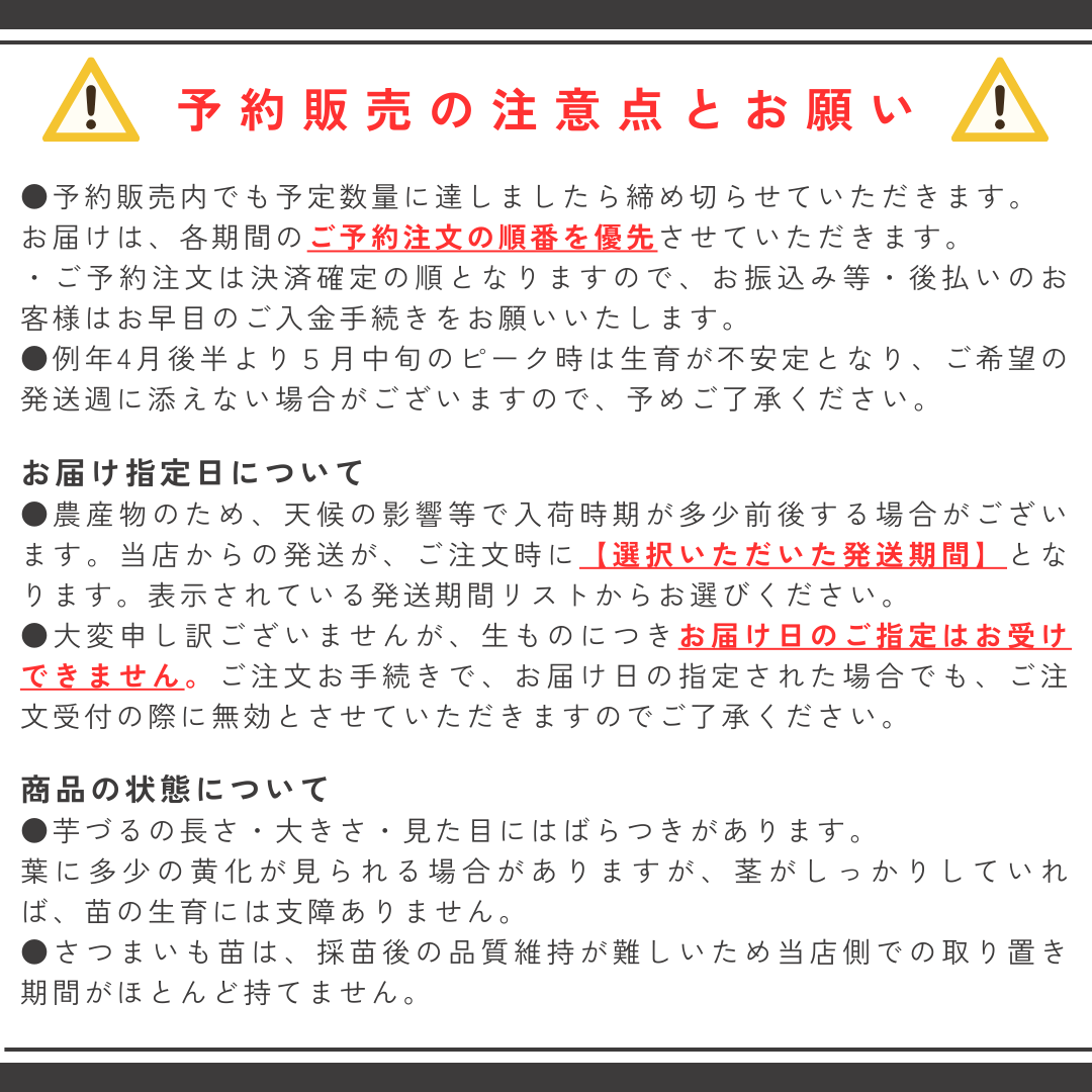さつまいも苗（切り苗）1000本〜 大口対応農家向け ウィルスフリー苗