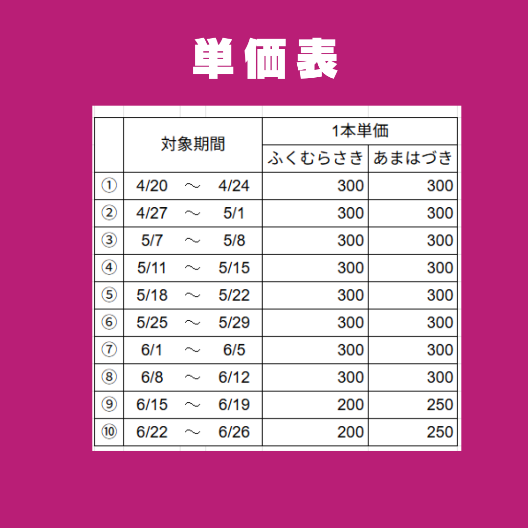 さつまいも苗（切り苗）1000本〜 大口対応 農家向け ウィルスフリー苗