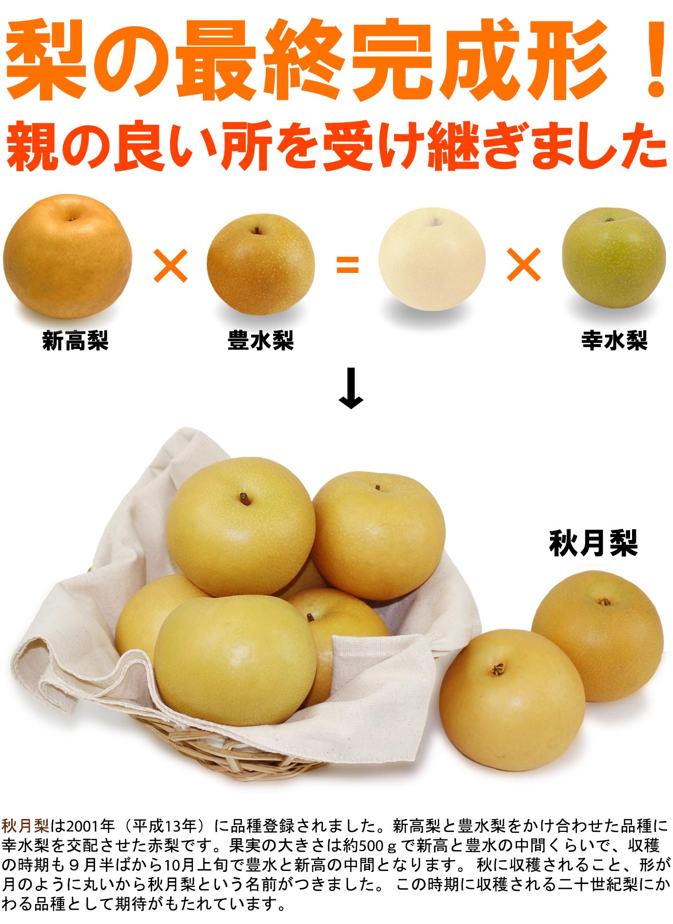 ɲ̼ ʤŤʤ