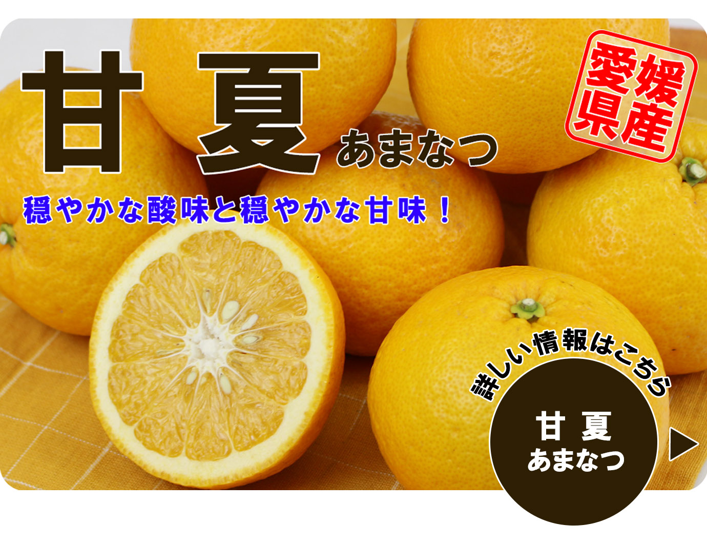 �Ųơʤ��ޤʤġ�