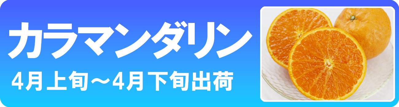 ��ɲ���������̼��� ����ޥ�����