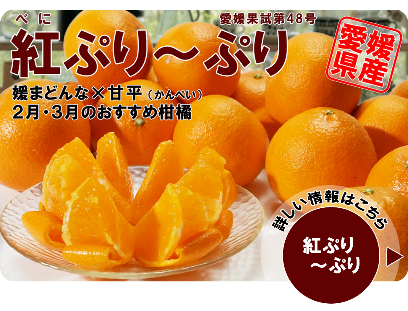 �Ȥפ���פ�ʹȥץ�󥻥���