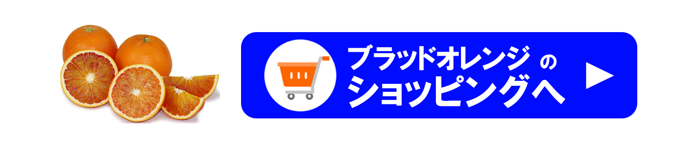 ��ɲ���������̼��� �֥�åɥ����